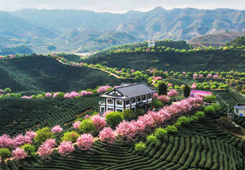 ��ȫ���GɫʳƷһ�����a�I�ںϰlչʾ���@�����γ��t ��ƽ�_���@�ϰ�