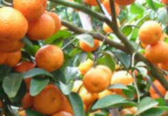 ���Pע31�l�����������r�����팍�� �_����ꑰlչ��M���Ҹ��С�