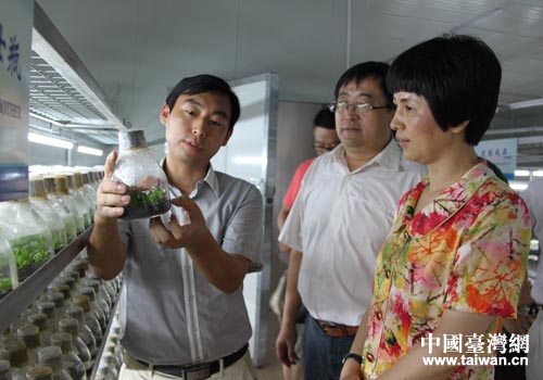 �����R��ɽ�����L�������{���_�Y��I