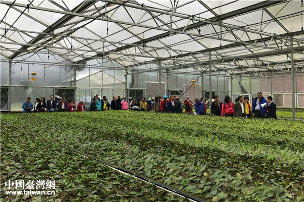 ���^���������������Ї��_���W �w���� �z��