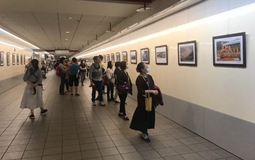 2018���S���������z·������DƬչ���_(t��i)���_(k��i)չ