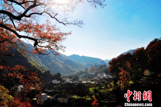 �ɰ����ИI(y��)(li��n)�x��(hu��)�����_Ļ����ɽ������l(xi��ng)��վ�_(t��i)��