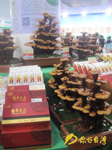 ������(hu��)��չ���ĺ����خa(ch��n)