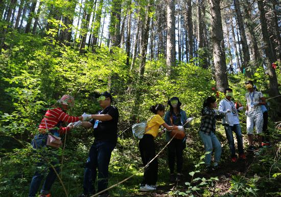 �ɵش�W���y�ִ�Խԭʼɭ��