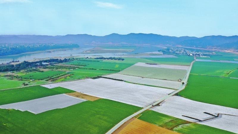 2020���Ĵ��Zʳ�a��ͻ��700�|��