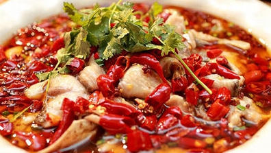 ����ϵĴ��ˣ��ٲ˰�ζ��ζ�����g