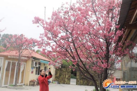 �_���ѻ��ڏB�T��݈@ŭ�š��ɔzӰ��ِ����(�D)