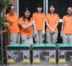 ���ٛ�_С��؈���g�g���������_��