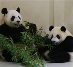 ��؈���A�С������~��Ę�ϴ� �ஔ��Ȥ���D��