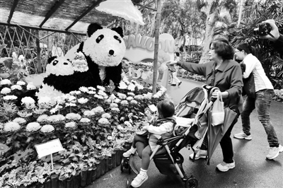 2014�_���оջ�չ�_չ