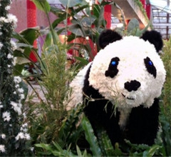 �þջ�ƴ�ɵĈA�A�͈A��