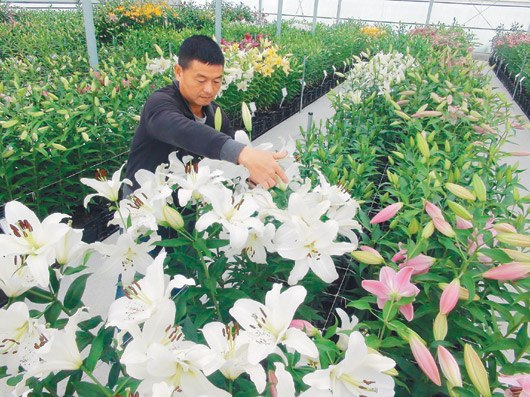 �_�л��r���k�ٺϻ���165Ʒ�N���涷�G���D��