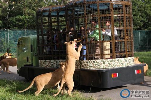 �������Θ�(l��)�@