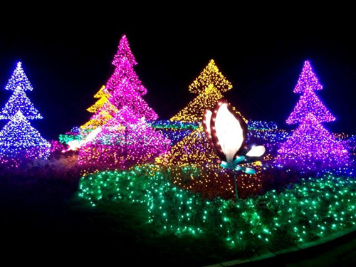 �_��������չ�_��ʥ�Q��� ���춬�����ܻ��@