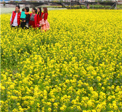 �V�|÷�ݣ��������� ��s���X̤��ȥ