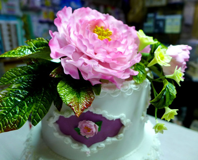 �_��W(xu��)����ĵ���ǻ��������������������˷Q��