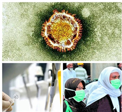 ��������MERS���Б����A�� ����:�ɷ��ɿز��ؿֻ�