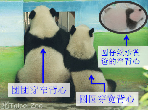 ���F(tu��n)�F(tu��n)�������A�A���ı����ڰ�Ҳ��ͬ��