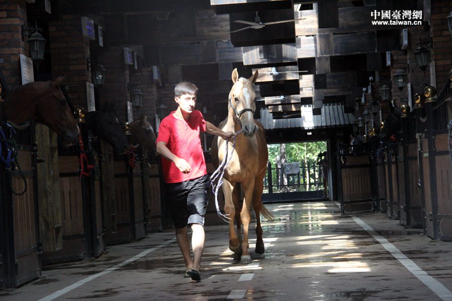 ����һ��һ·���½��С����^��Ѫ���Rչʾ����