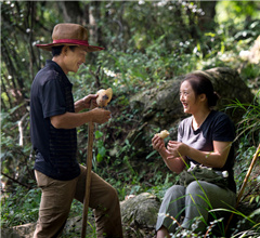 �Ĵ�һ�����[����ɽ18�� ���o�f��ɭ��