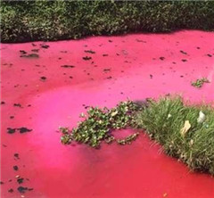 �V�|���ݬF��Ѫ�ӡ� �W�Ѻ��h�����L����Ӿ