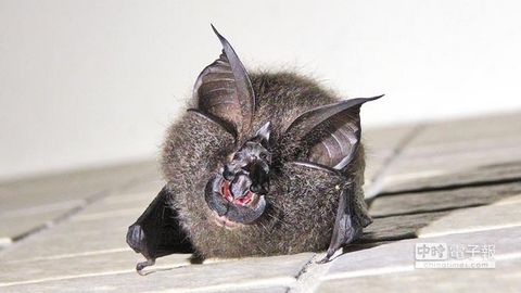 �_(t��i)����(d��ng)��@ӭ�������Ѵ����������A�С�������