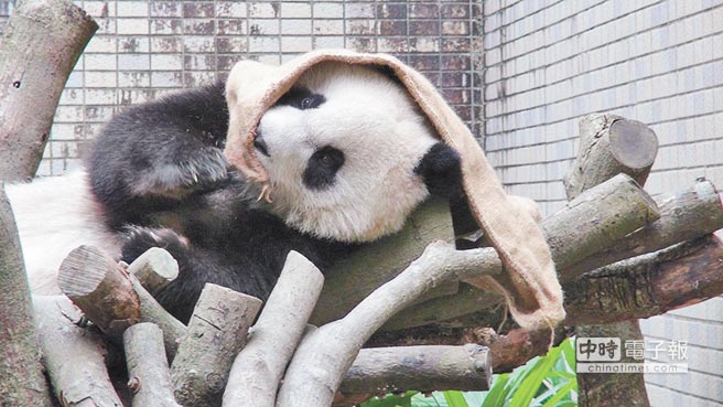 �A�и��������O�� ���_����߅��߅�桰���ȡ����D��