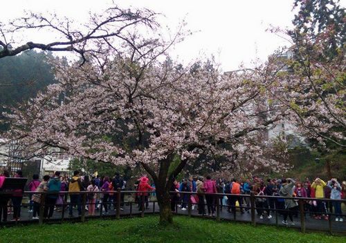 �_������ɽ�����ǈ���������ʢ�_���������D��