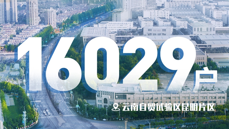 “數”說云南自貿試驗區2020年