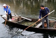 �L�����Ҽҡ������L����(j��ng)�������ӵ���