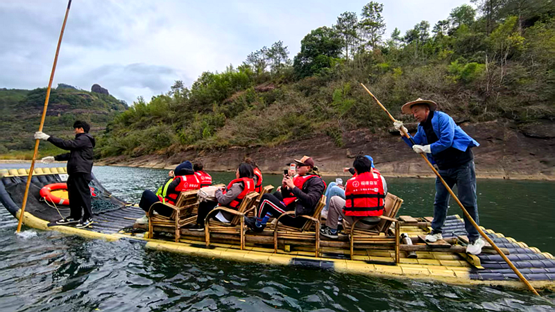 九曲茶路通兩岸 九曲茶路通兩岸