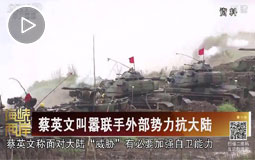 蔡英文叫器聯(lián)手外部勢(shì)力抗大陸