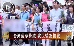 臺(tái)灣菠蘿價(jià)跌 農(nóng)民憤怒抗議