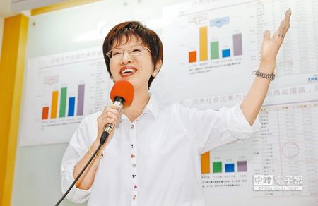 國民黨初選事務(wù)洪秀柱:馬英九最好別介入