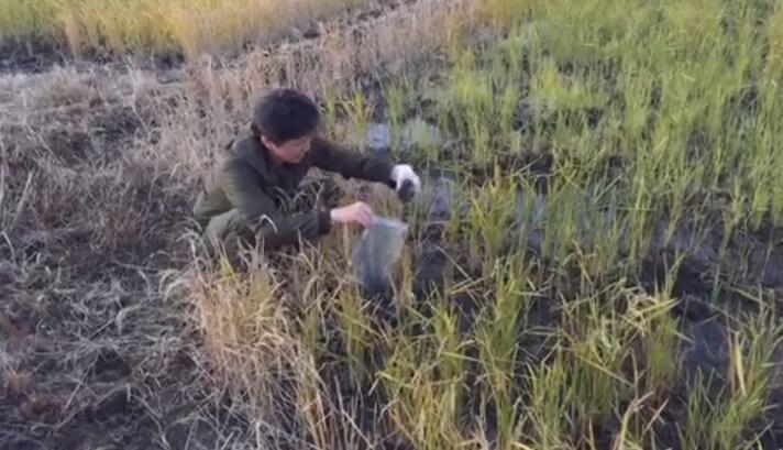 日本福島驗出更高濃度銫137 藍營怒:慢性毒殺民眾! 日本福島驗出更高濃度銫137 藍營怒:慢性毒殺民眾!