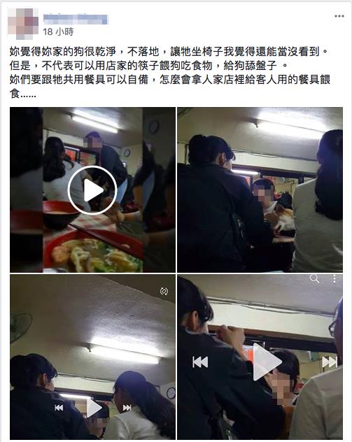 帶寵物上餐館 拿店家筷子喂食、讓狗舔盤子 帶寵物上餐館 拿店家筷子喂食、讓狗舔盤子