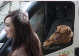 ��Ȯ��������Ů����ˮ���Ĕz׃�����^���ǹ�