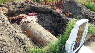 ���ֵܞ鸸��(f��)���_�׺�l(f��)�F(xi��n)�����ֲ�Ҋ�ˡ����D��