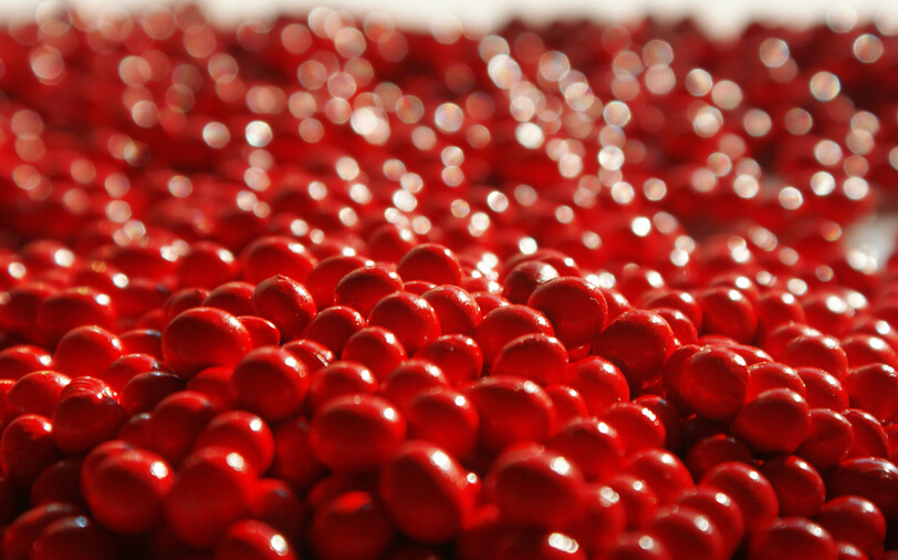 紅豆驗出神經性毒,黑豆農藥殘留超百倍 紅豆驗出神經性毒,黑豆農藥殘留超百倍