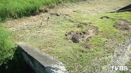 ����������y�� ���o܇���˷�����