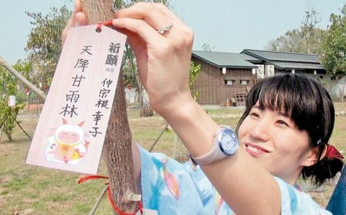 �_���؅^���R���غ��� 20����H�N�������ν�����