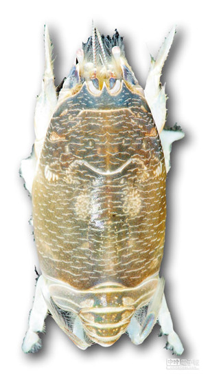 �_���l�F����N���_�����sз�����D��