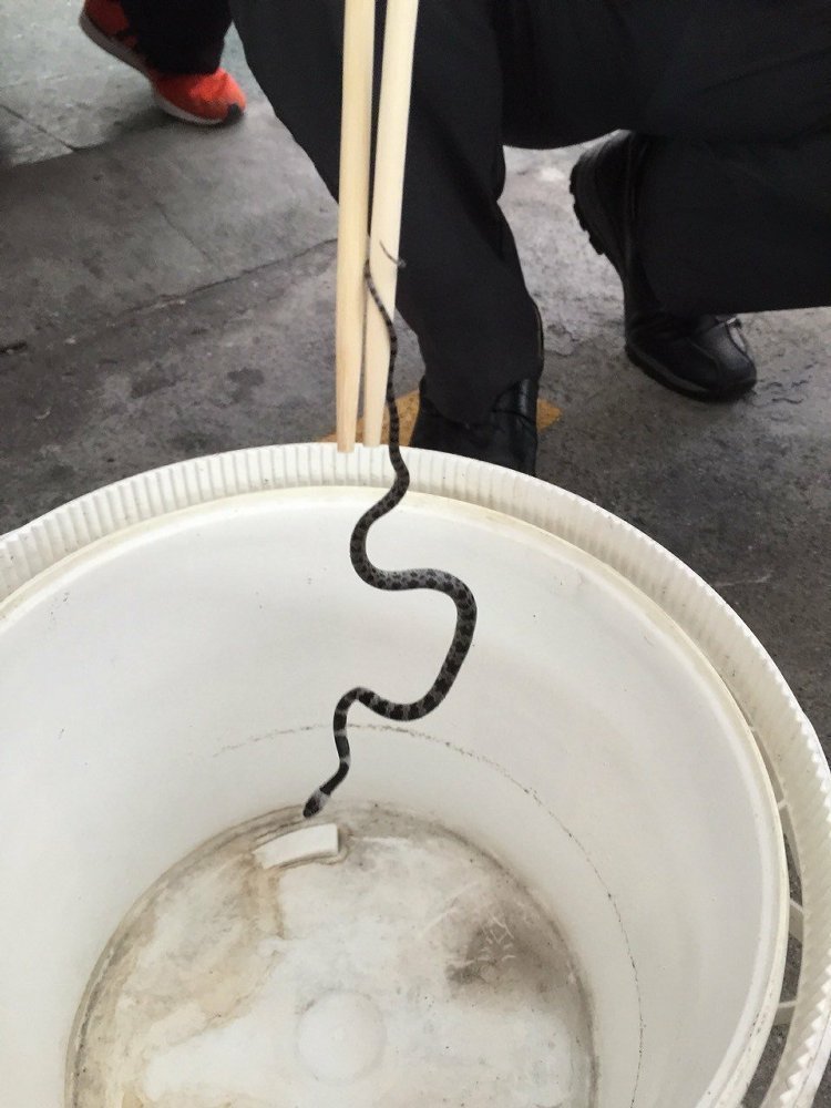 �_�F��܇�@�F30����С�� ܇�L�^��ͽ�ֲ��@