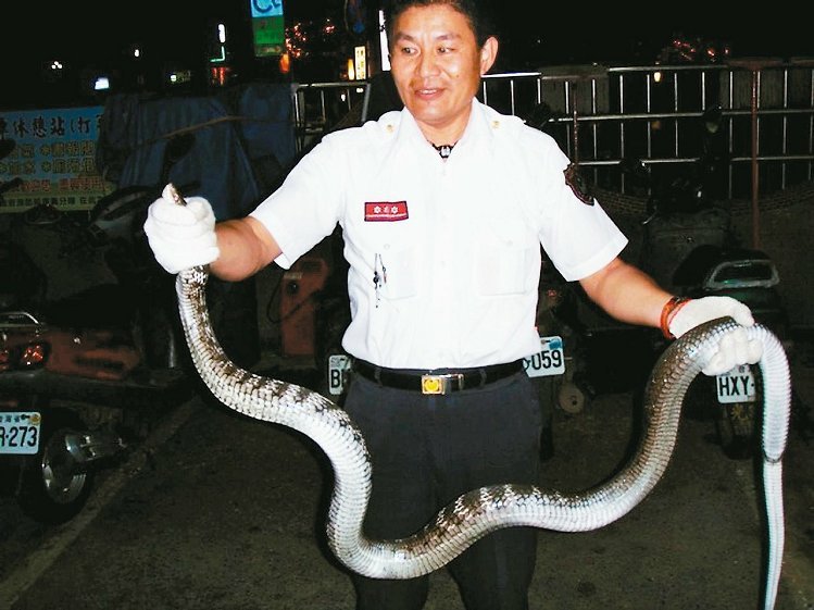 ��p�p�����ˆT�I(y��)��ؓ�����҈@19�ճ���ȫ�_��֧�o�����o������׽�ߣ�������ꠣ��D�������ˆT׽�ߵ����Ρ�����(li��n)�ψ󡷈D��