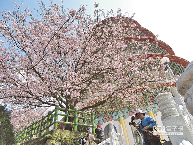 �����ߴ�ɽ�ѻ��R�� �����о����p(�D)