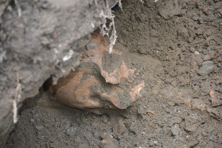 �_����ɏ��ˮ���ڳ�ǧ��Ǻ����D��