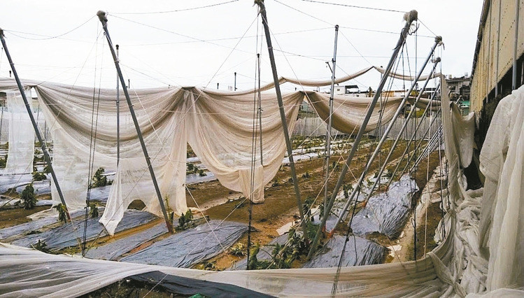 ���|�h���r(n��ng)��Щ�W(w��ng)���ϴ��_(t��i)�L(f��ng)���ƣ��@���ֱ���