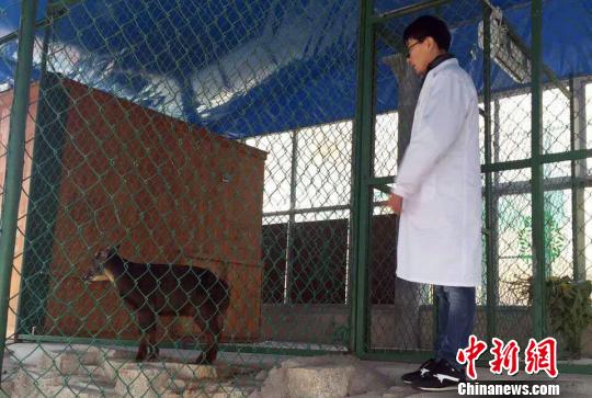 ����(w��n)ÿ���(hu��)���r(sh��)Ѳҕ��(d��ng)���^��,�J(r��n)���^���(d��ng)����О��B(t��i)������ɭ�� �z