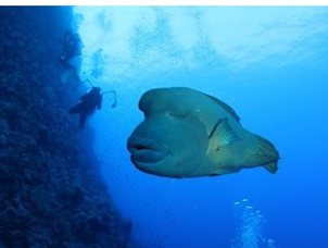 �_���m�Z�lΣ���������� ���г����~Ƭ���¶�