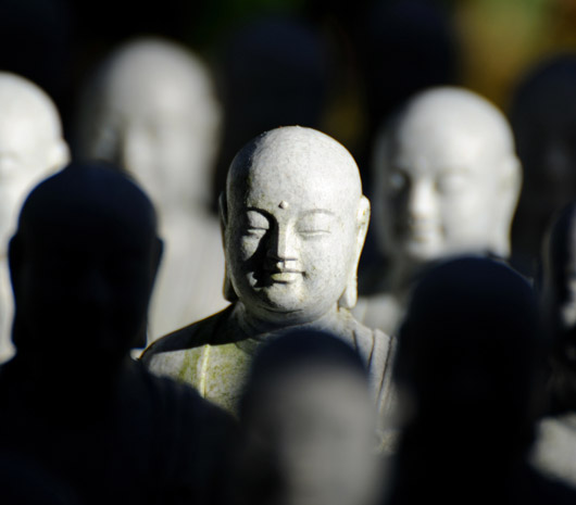 ���������Ӿ��ٳ� ���Ȳ�����c�䡰�󶷡�(�D)